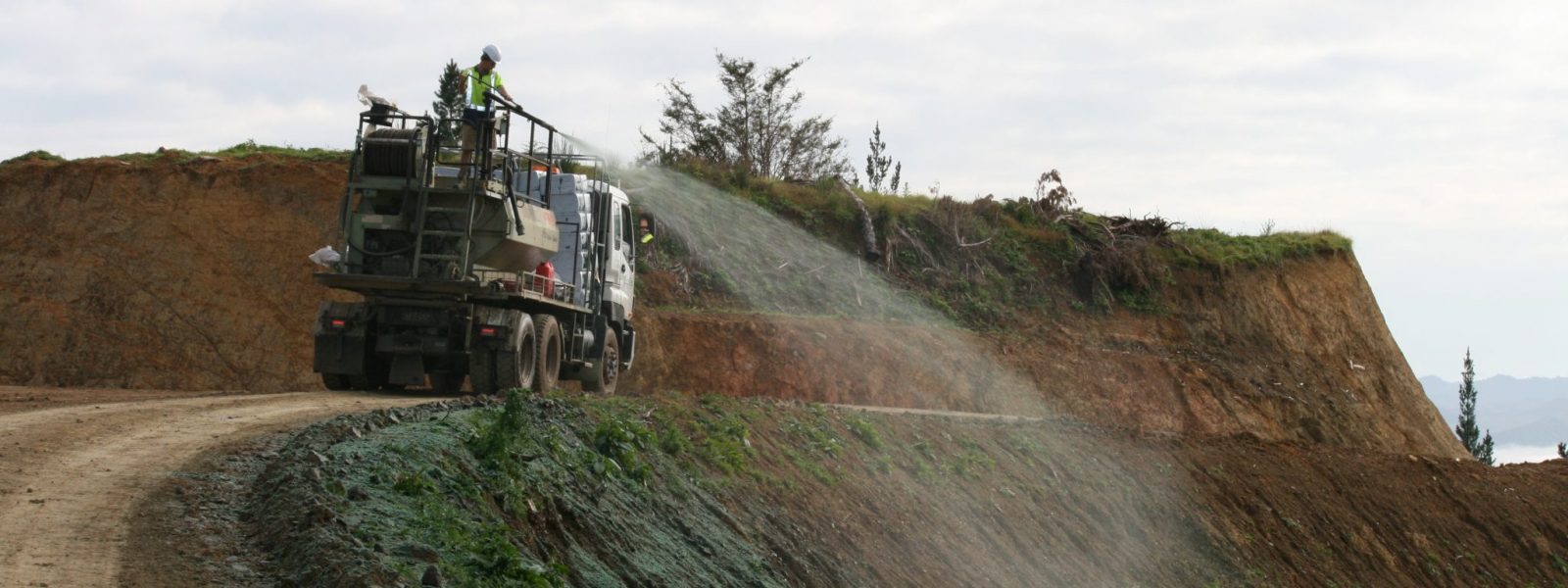 Hydro-seeding adhesives