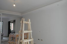 How much do you know about wall paint?