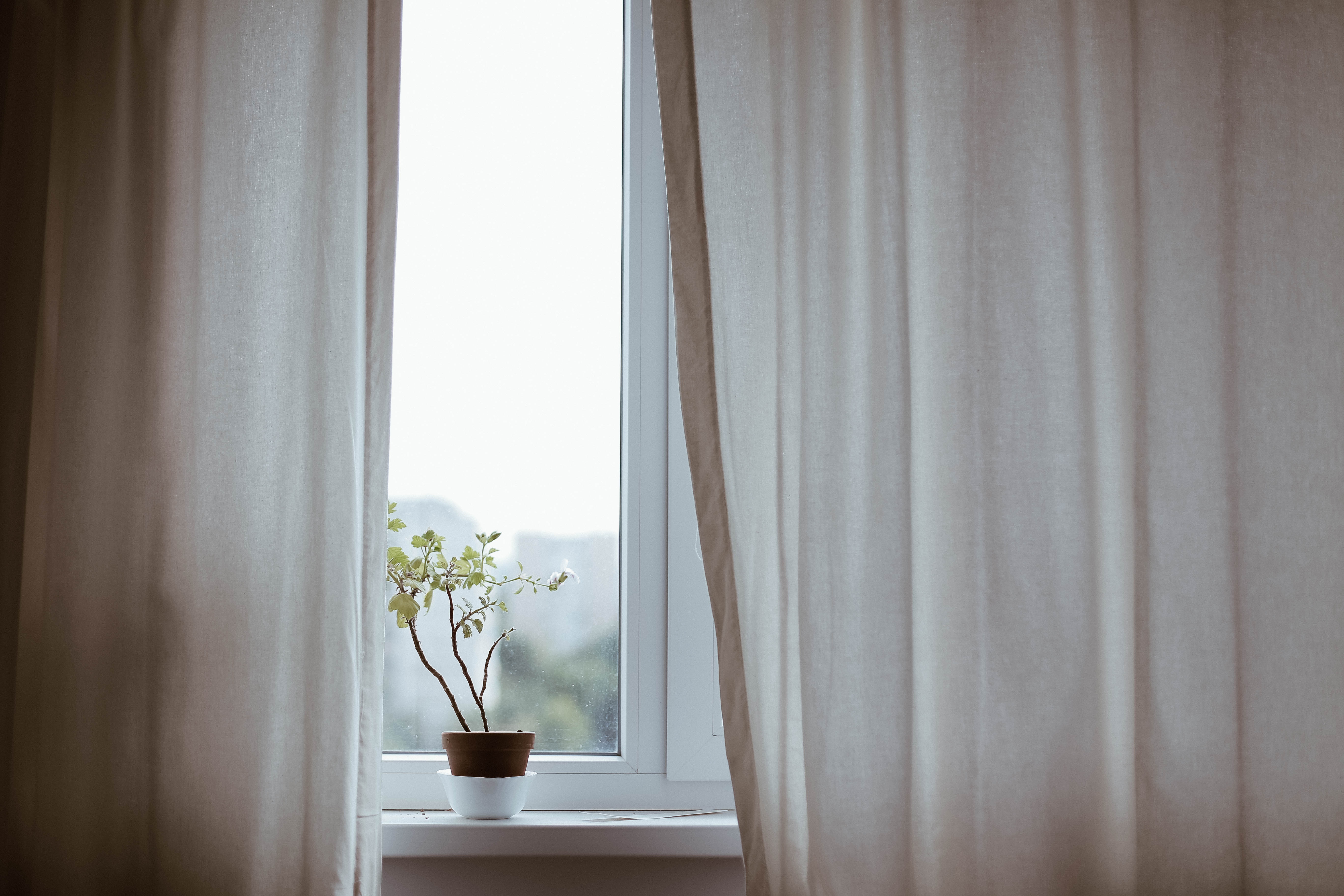 Exploring the Fire-Resistant Products Market: The Significant Role of Flame-Retardant Curtains