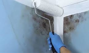 High Solids SBR Latex and Its Impact on Asphalt Performance Efficiency