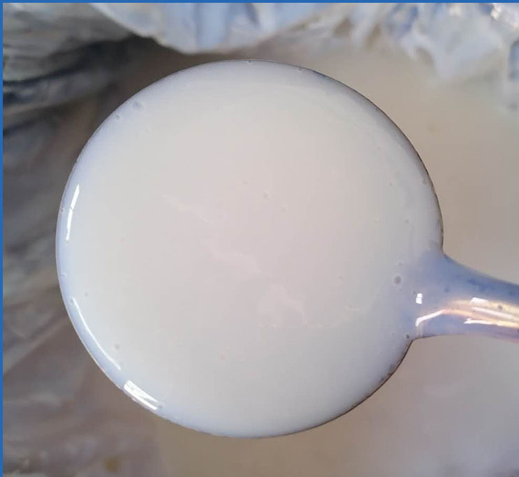 RF-9065: High-Performance Styrene/Acrylate Copolymer Emulsion for Flexible Waterproofing